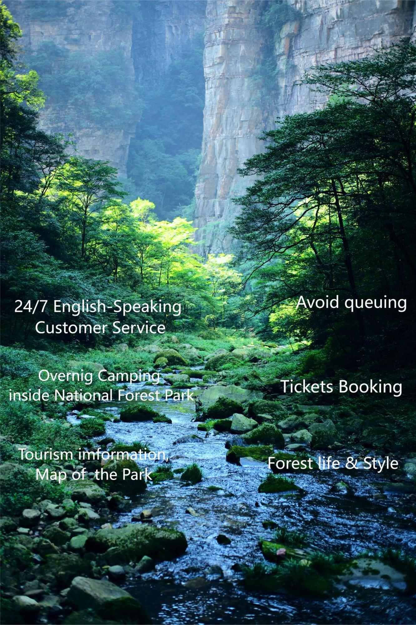 Zhangjiajie National Forest Park Camping 외부 사진