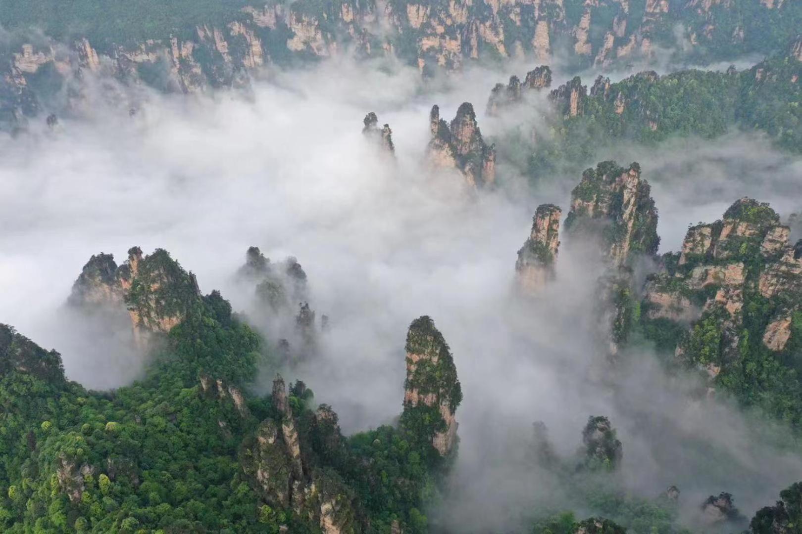 Zhangjiajie National Forest Park Camping 외부 사진
